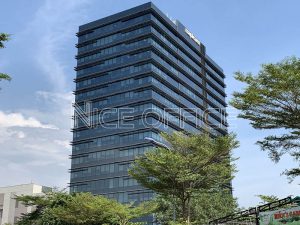 Văn phòng cho thuê công ty Xuất Nhập Khẩu - Logistics - Tòa nhà Mapletree