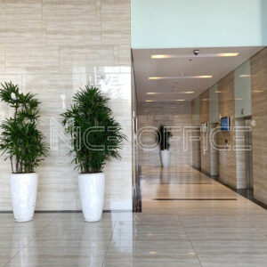 Thang máy tốc độ cao tại tòa nhà Pearl Plaza