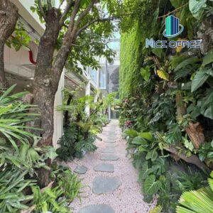 Cây xanh trong khuôn viên văn phòng trọn gói Tini Coworking Space