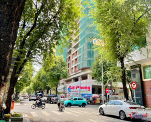 Dự án 11D Thi Sách