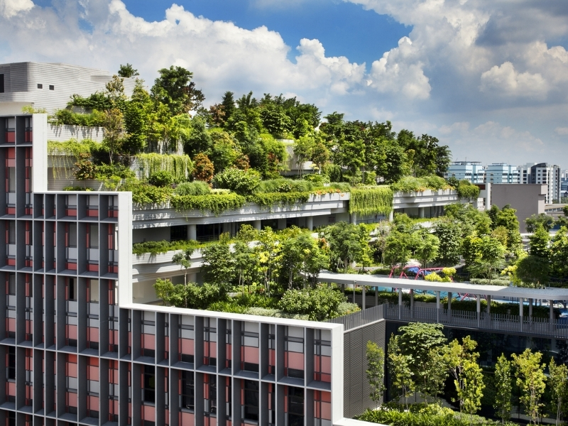 Những lưu ý khi thuê toà nhà đạt tiêu chuẩn xanh